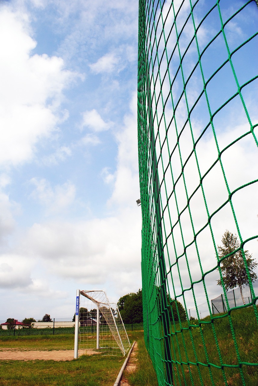 城早早陷入 城早早陷入