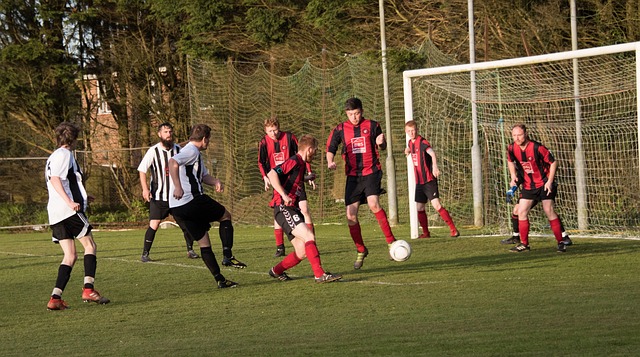 球队取得了 球队取得了