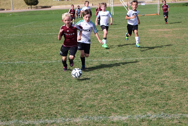 来了新的希 来了新的希