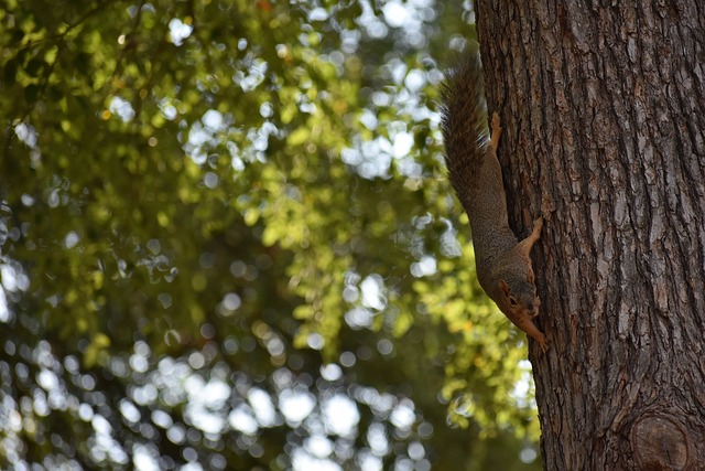 歐足聯裁定 羅德裏和莫拉塔因行為不當被禁賽一場.