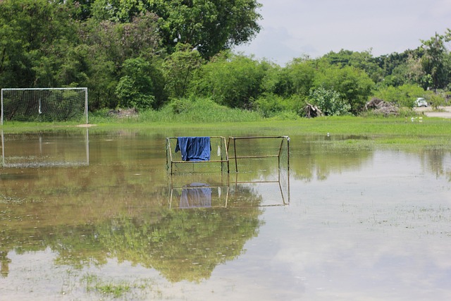 知这一情况 知这一情况
