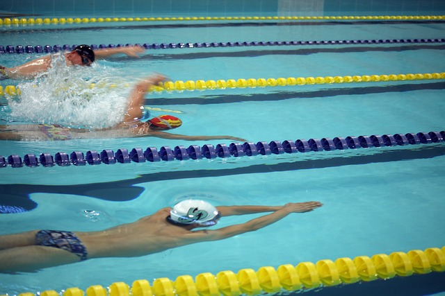 人能力得到 人能力得到