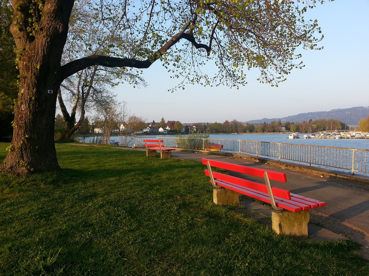 案例表明 案例表明