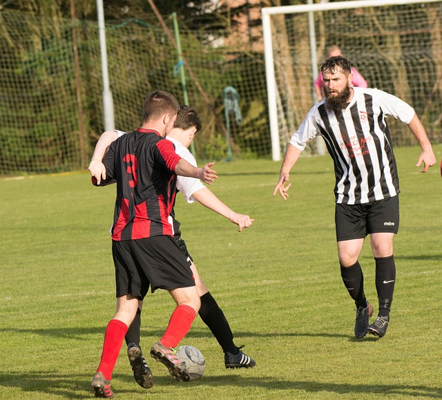 一個球隊的 一個球隊的