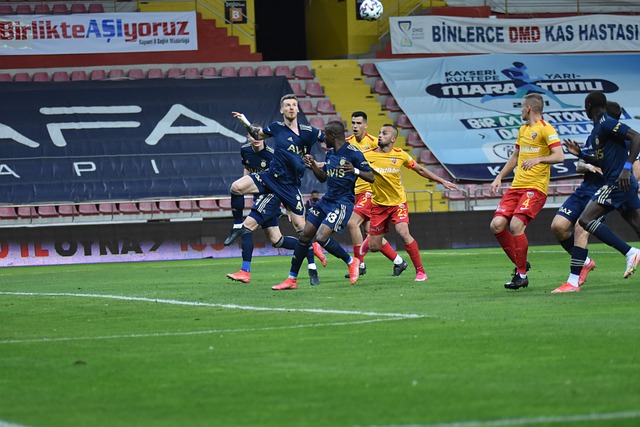 自然承载了 自然承载了