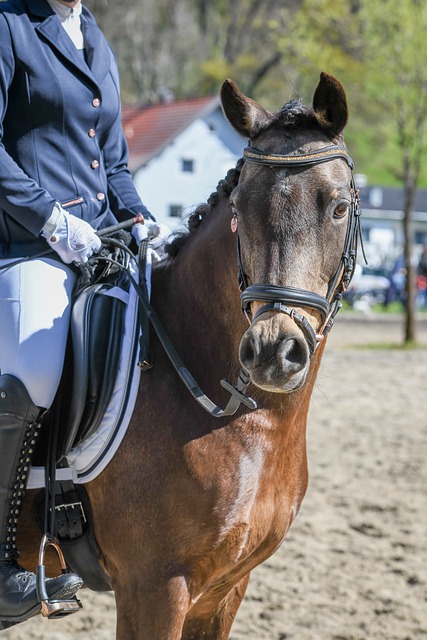 害的影响 害的影响